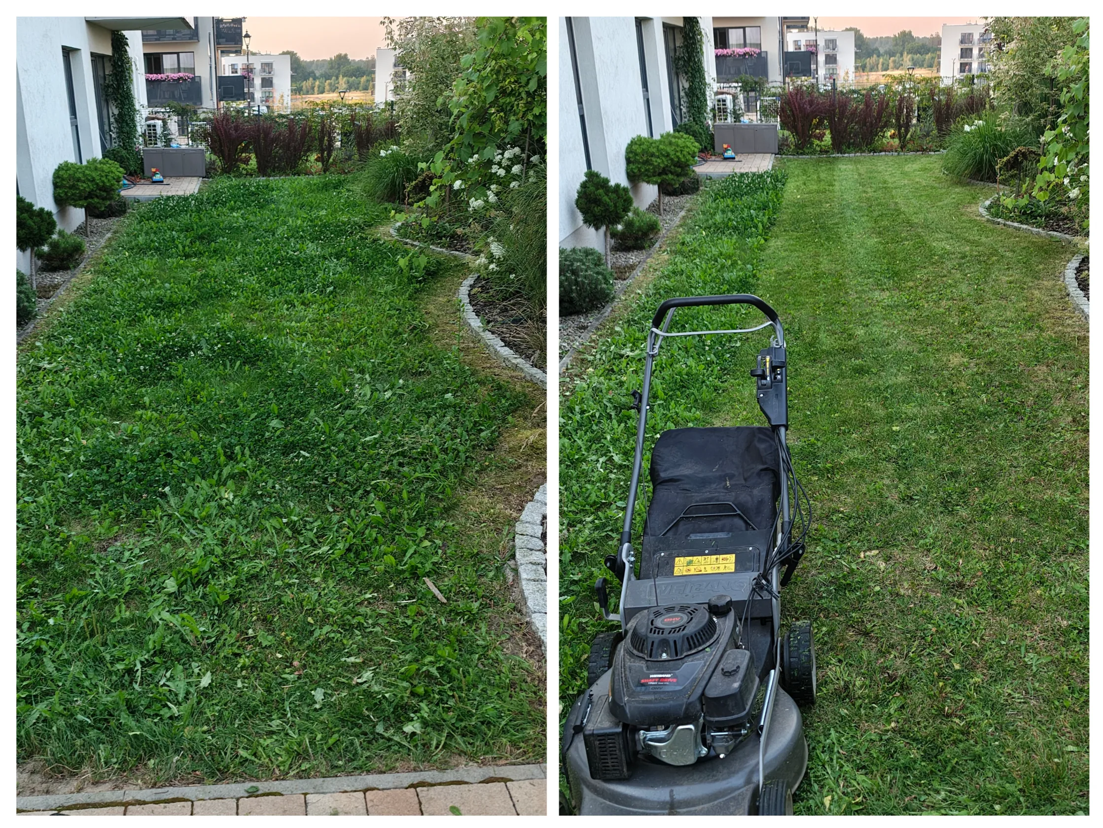 Koszenie trawy – fragment trawnika przed i po koszeniu z widoczną kosiarką