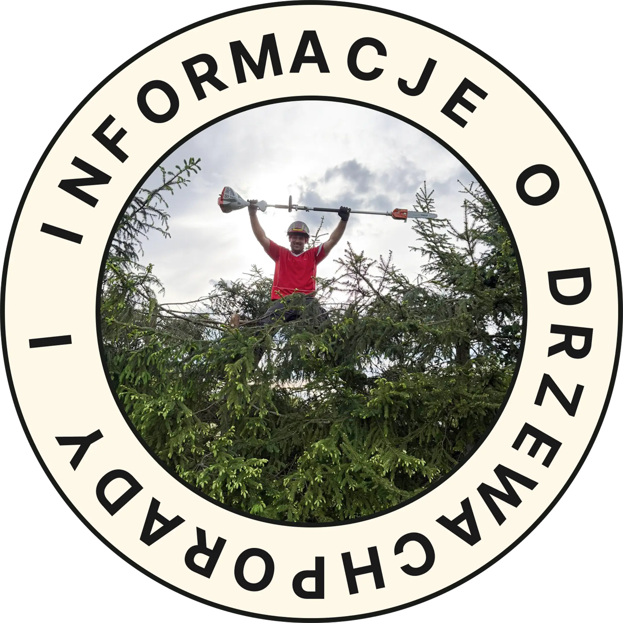 Mężczyzna w czerwonej koszulce wysoko na drzewie przycinający gałęzie teleskopową podkaszarką – Przycinanie drzew