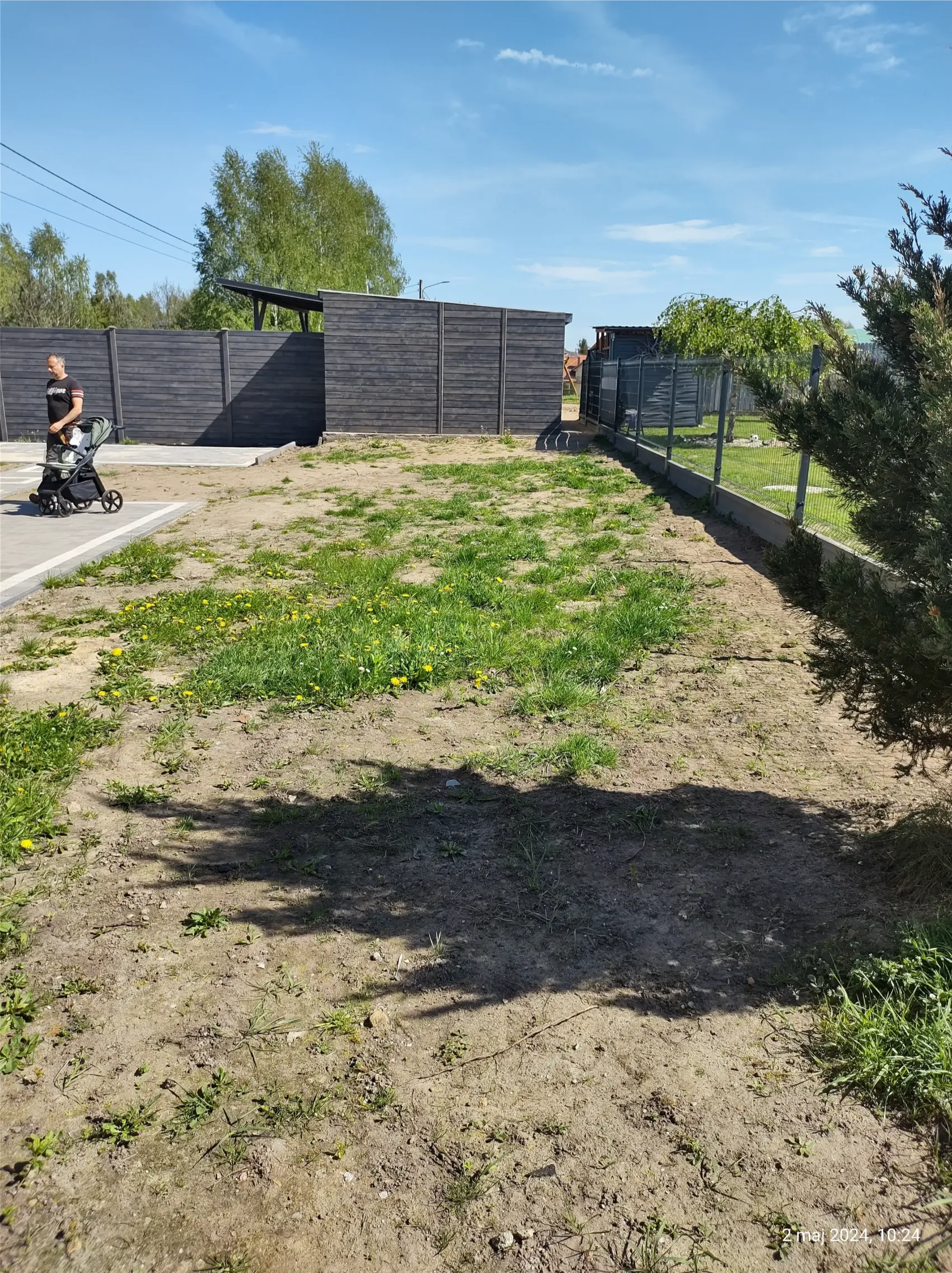 Oczyszczony, częściowo zarośnięty teren przy panelowym ogrodzeniu i iglaku – Karczowanie działek