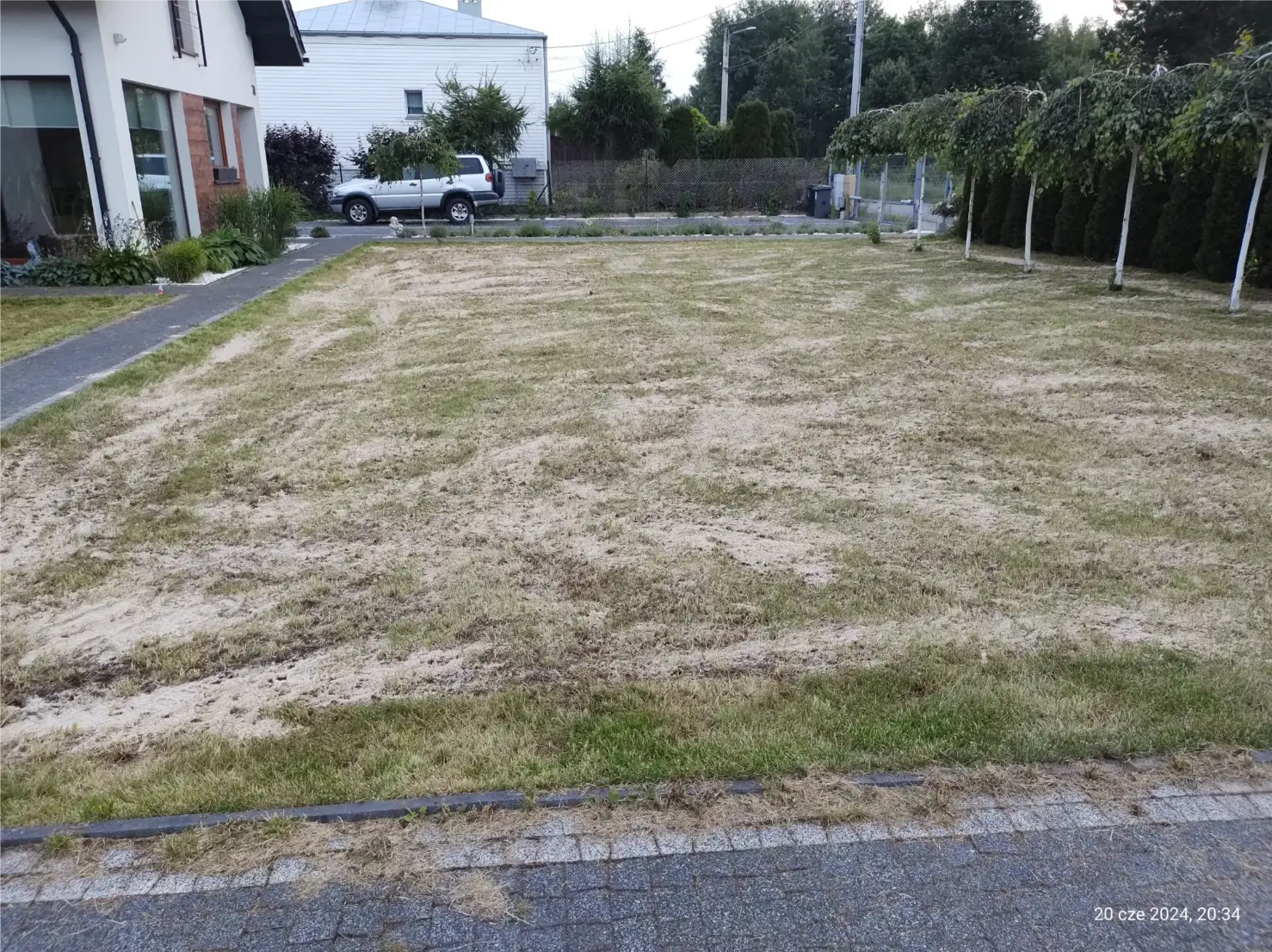 Zakładanie trawników na wyrównanym podłożu z piaskowym podsypem przed wzrostem trawy