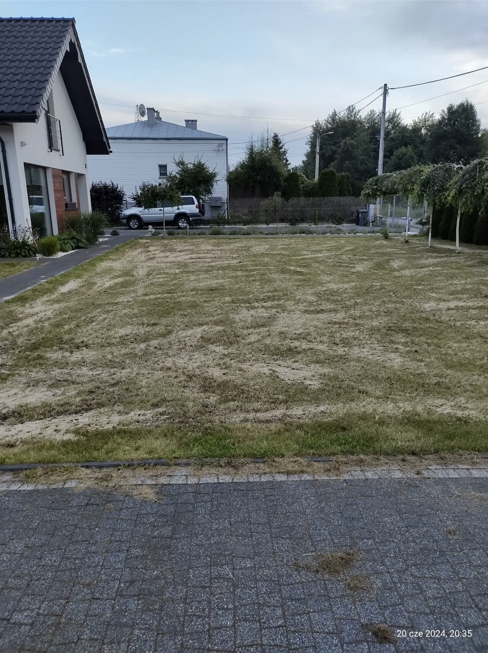 Koszenie trawy na przydomowym trawniku z widocznymi resztkami skoszonej trawy