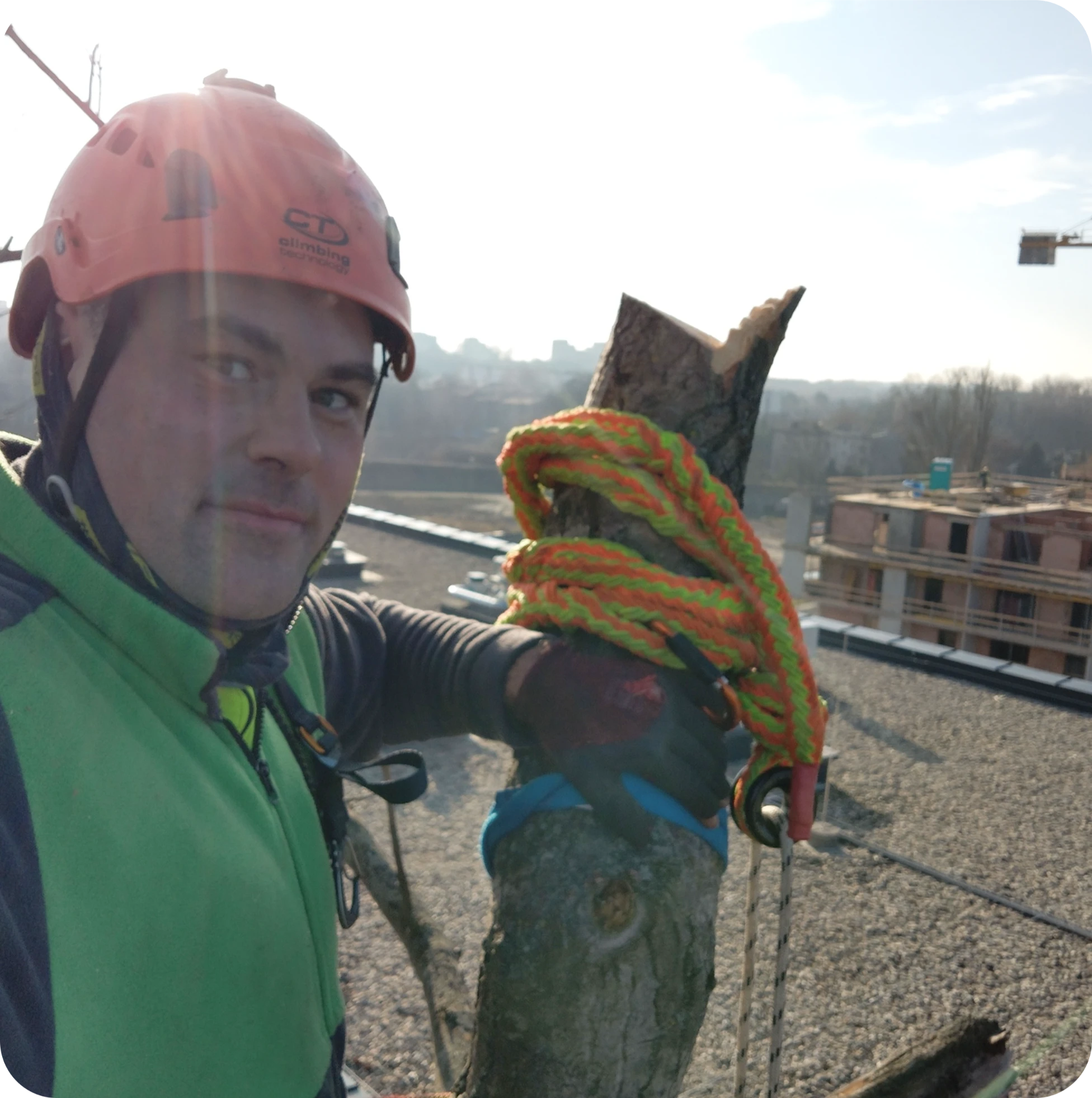 Przycinanie drzew przez arborystę na dachu budynku