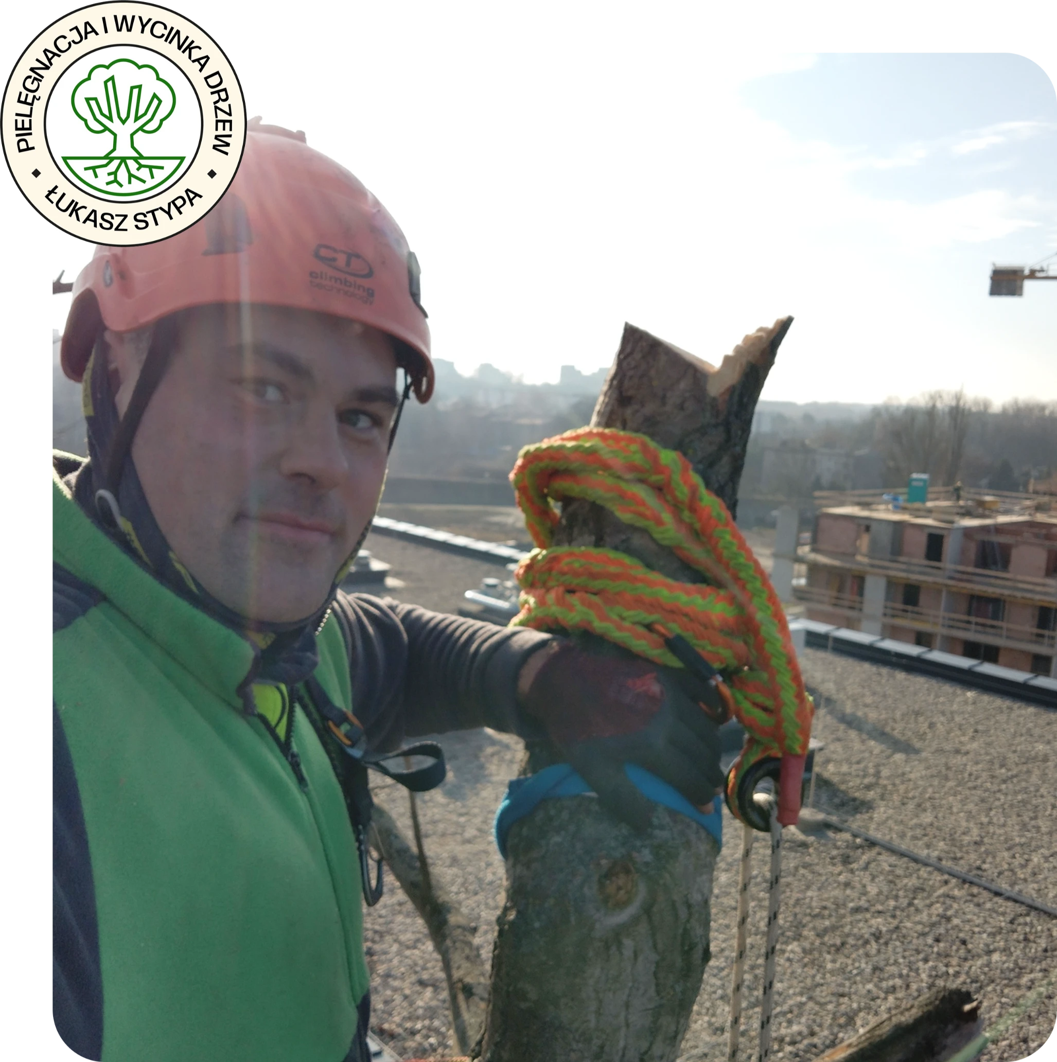 usługi arborystyczne