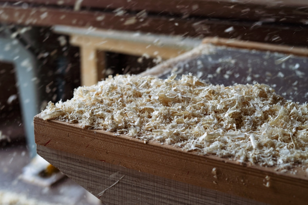 Stół warsztatowy pokryty świeżymi wiórami drewnianymi po usługach rębakiem